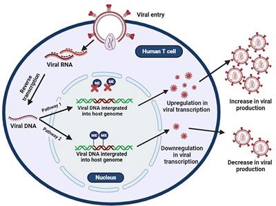 Deciphering DNA Methylation in HIV Infection